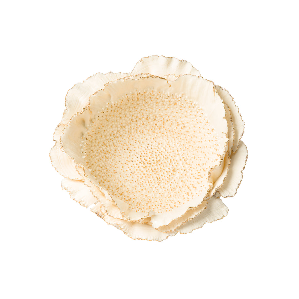 Helianthus Bowl