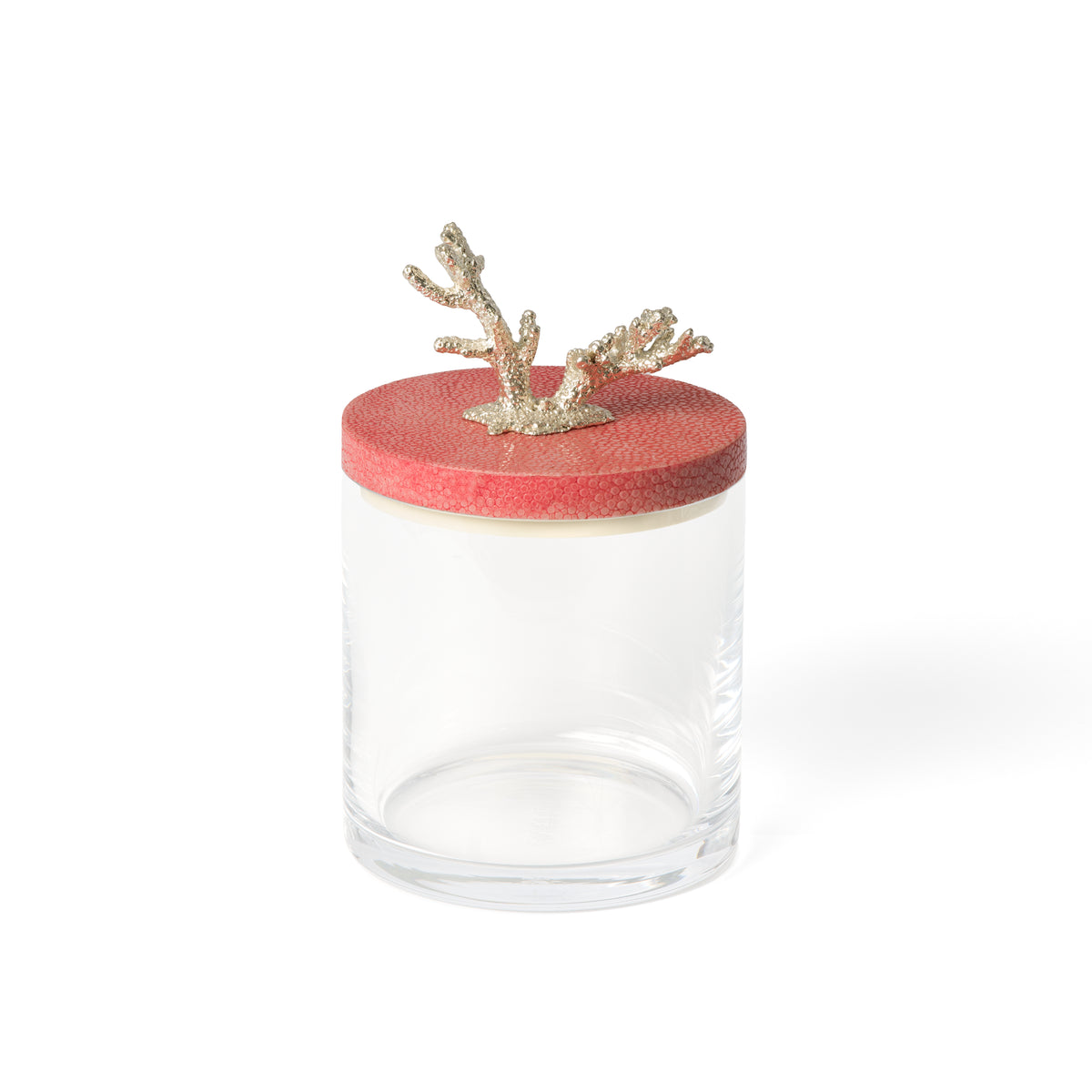 Coral Storing Jar Silver