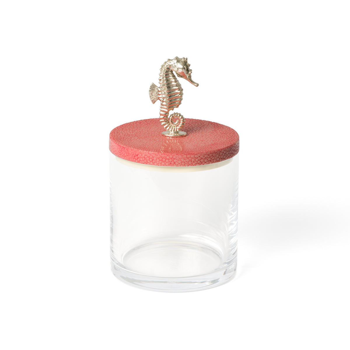 Seahorse Storing Jar Silver