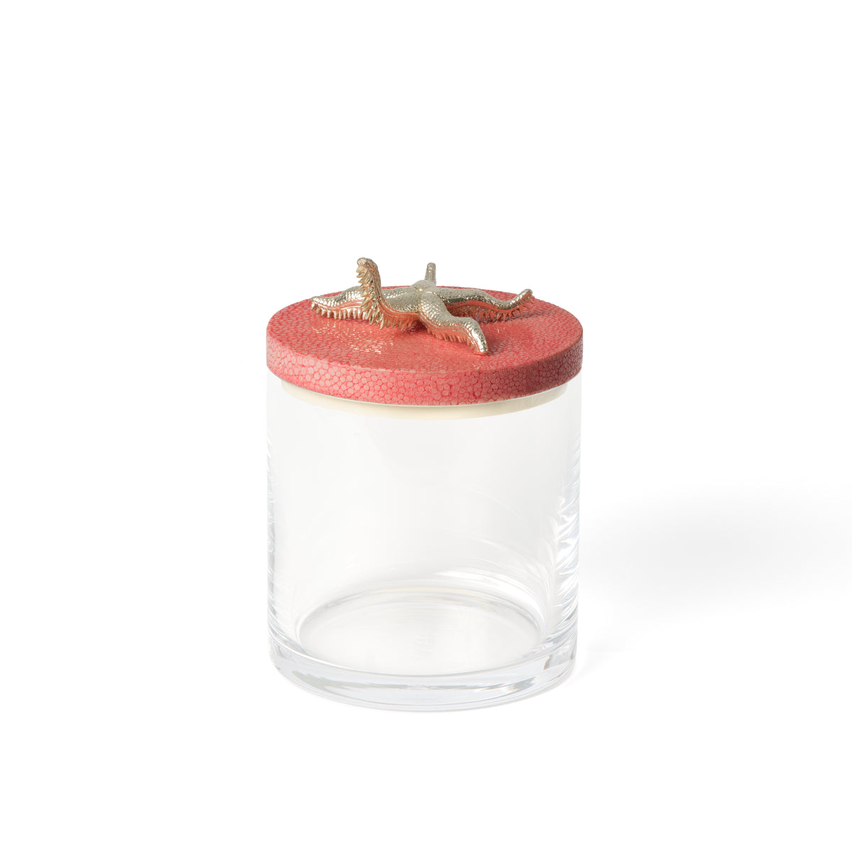 Starfish Storing Jar Silver