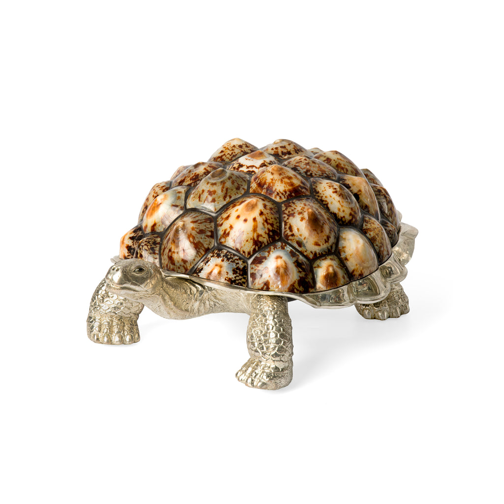 Galapagos Turtle Box