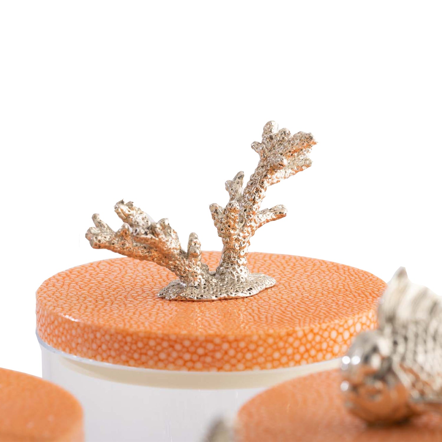 Storage Jars Shagreen
