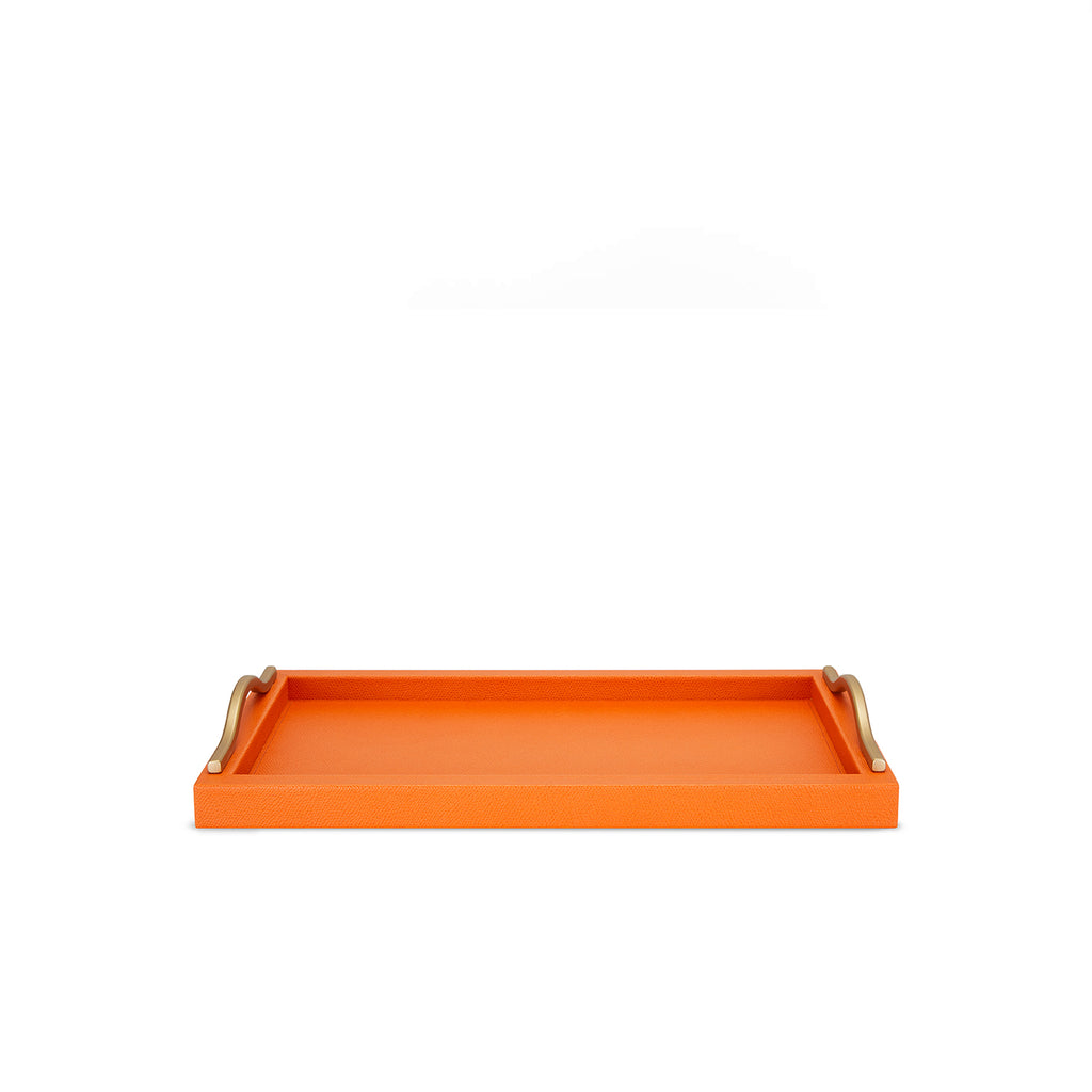 Ferdinand Mango Leather Tray