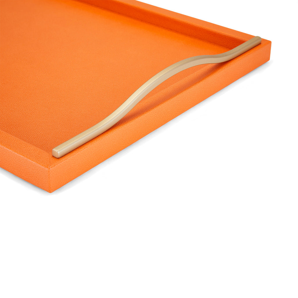 Ferdinand Mango Leather Tray