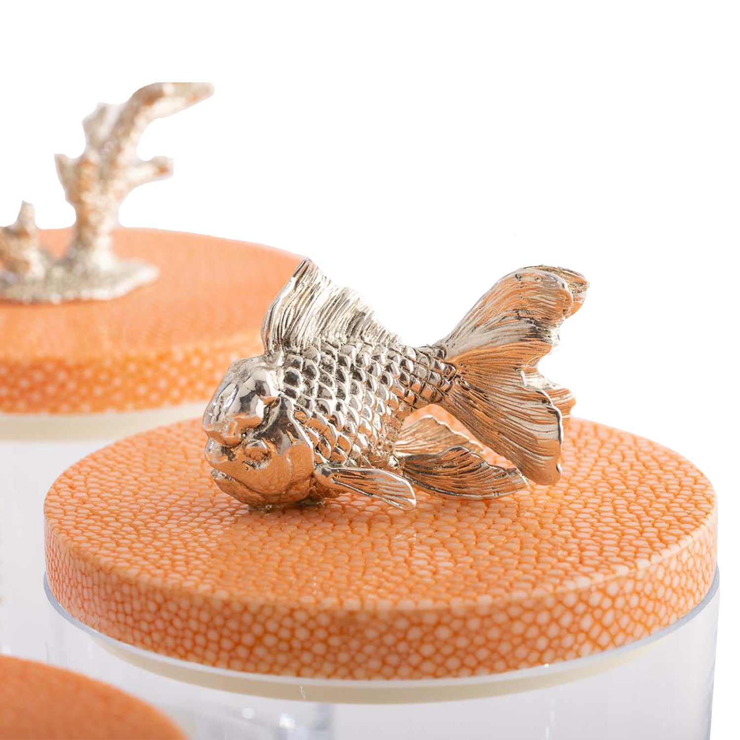 Storage Jars Shagreen