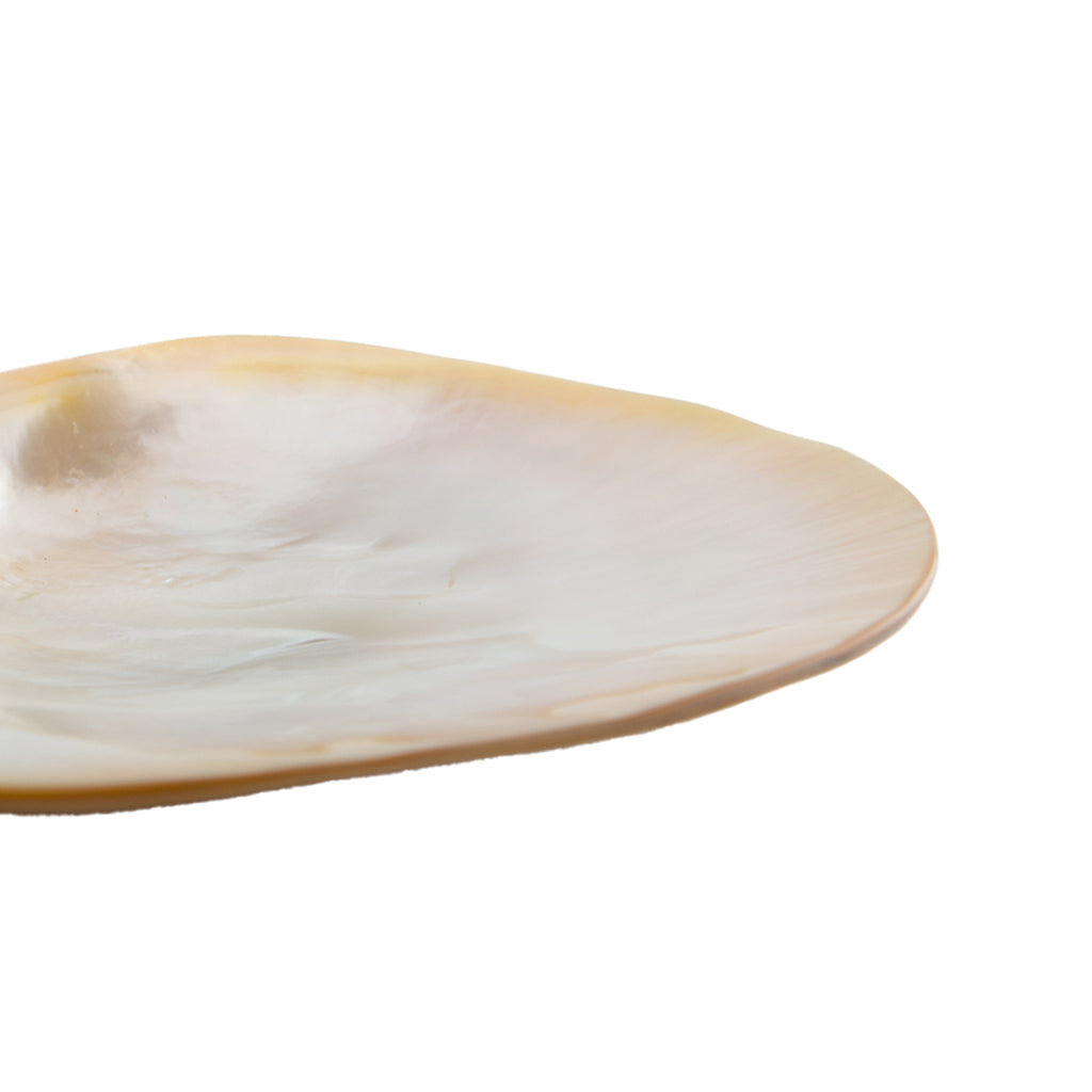 Frog Mother of Pearl Plate