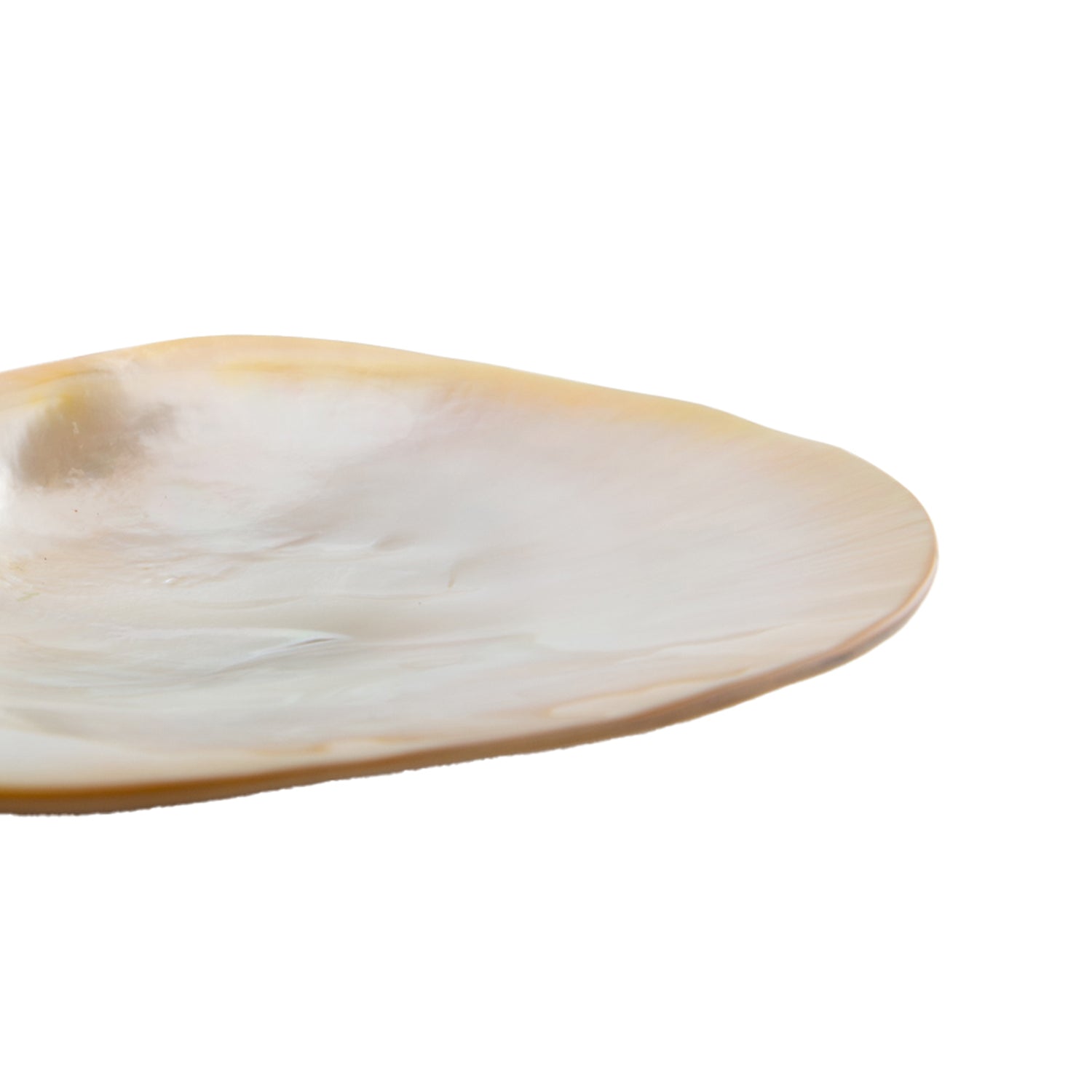 Frog Mother of Pearl Plate