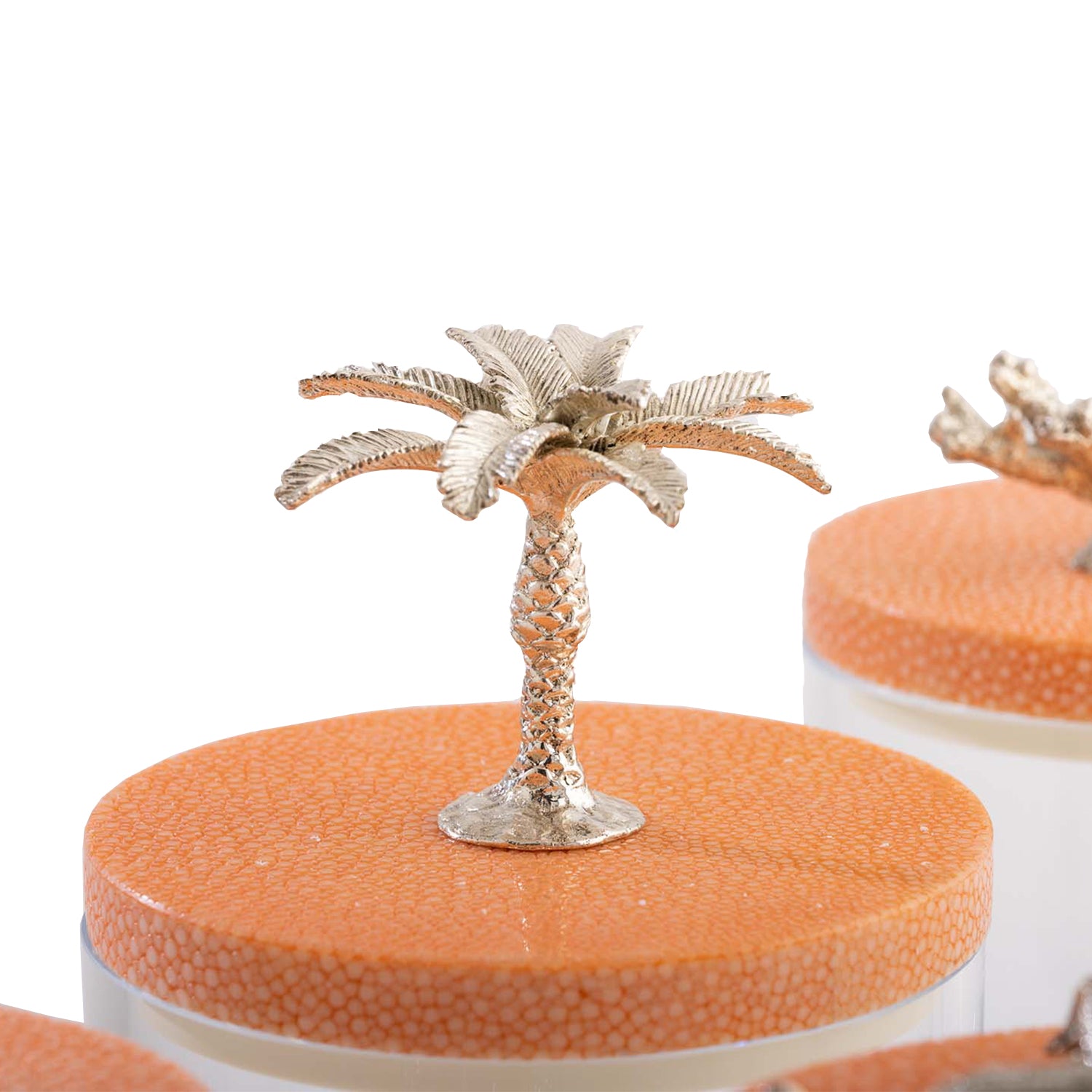 Storage Jars Shagreen