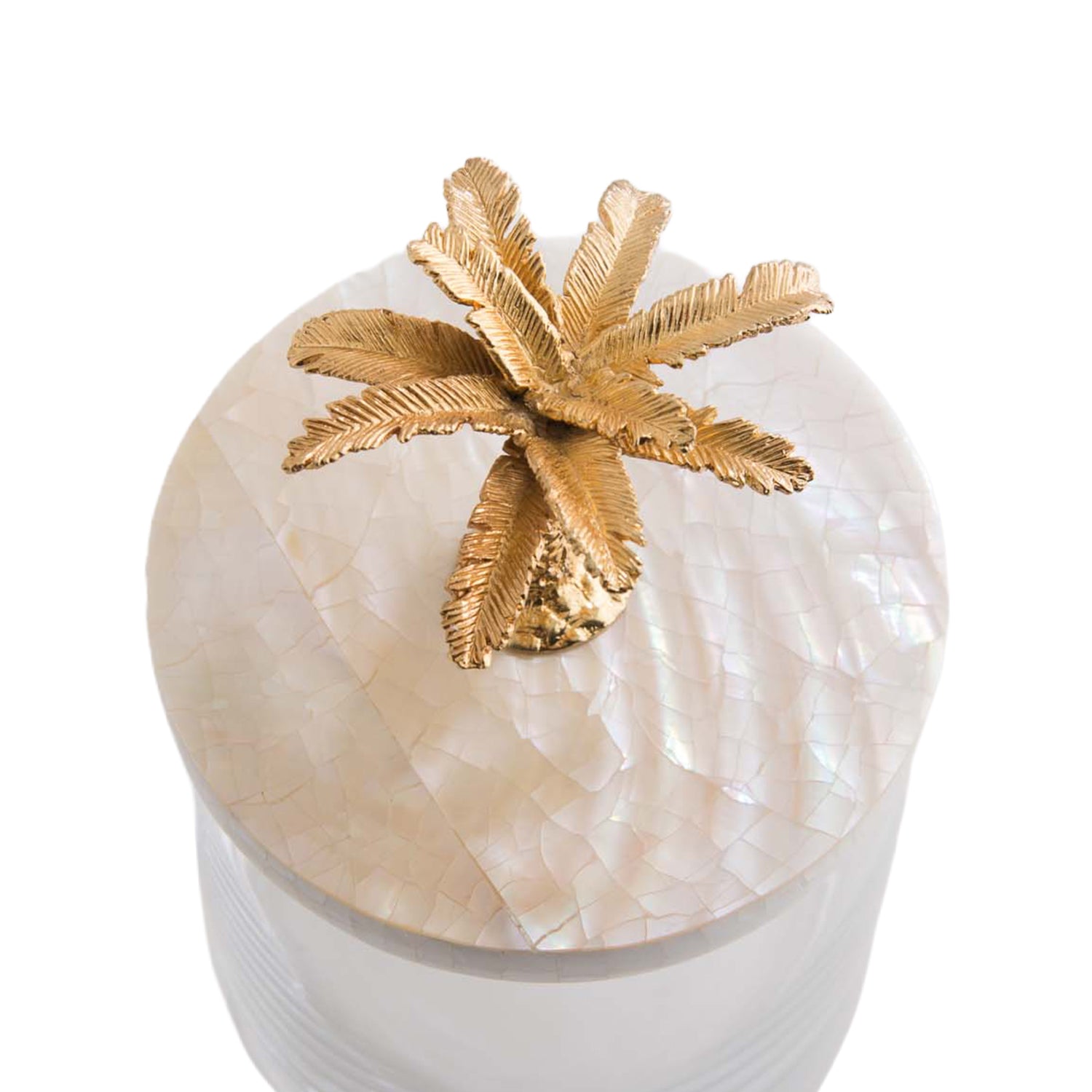 Palm Tree Storage Jar