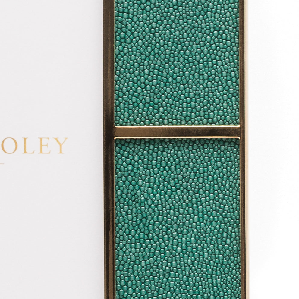 Ribbon Malachite Shagreen Photo Frame