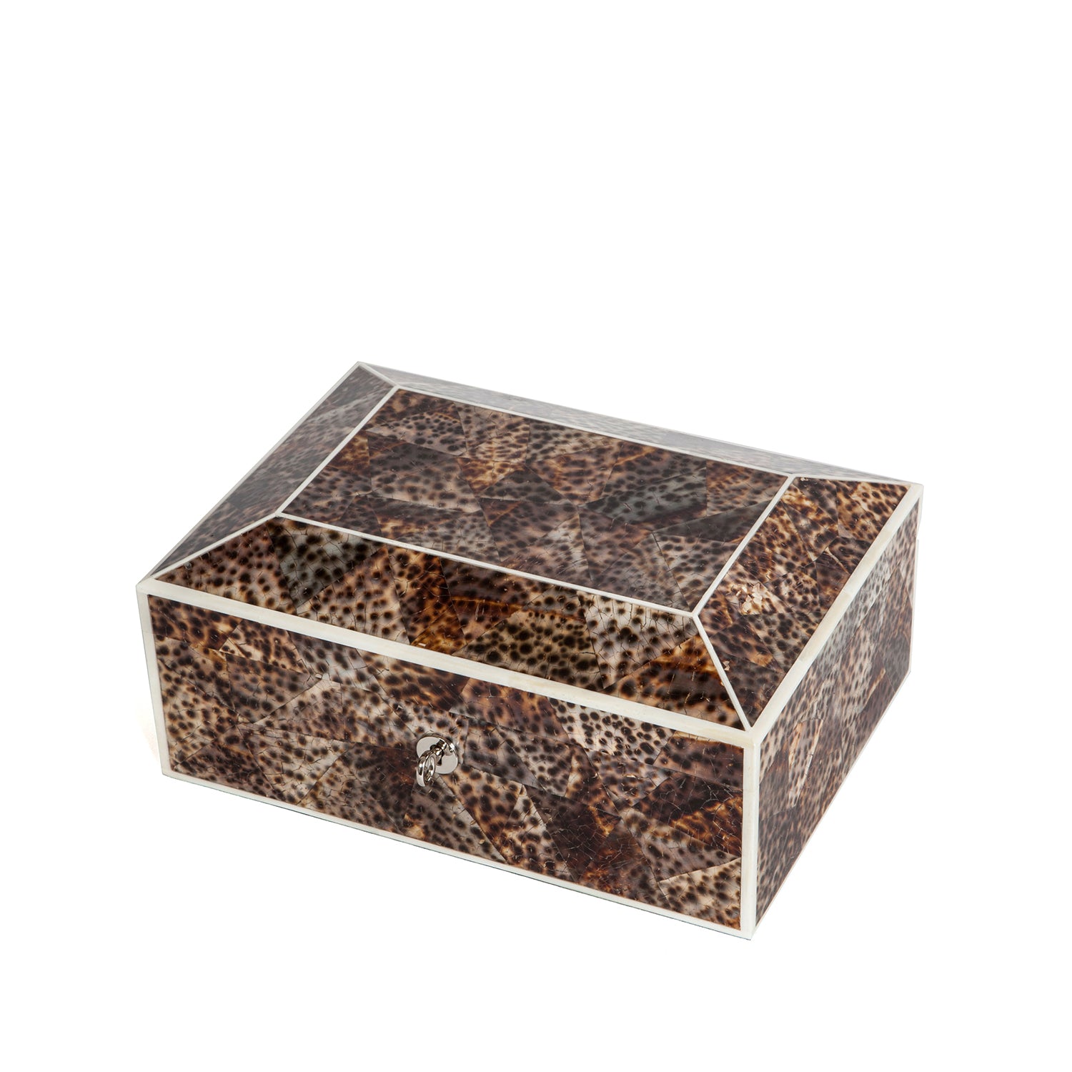 Tiger Cowrie Shell Jewellery Box