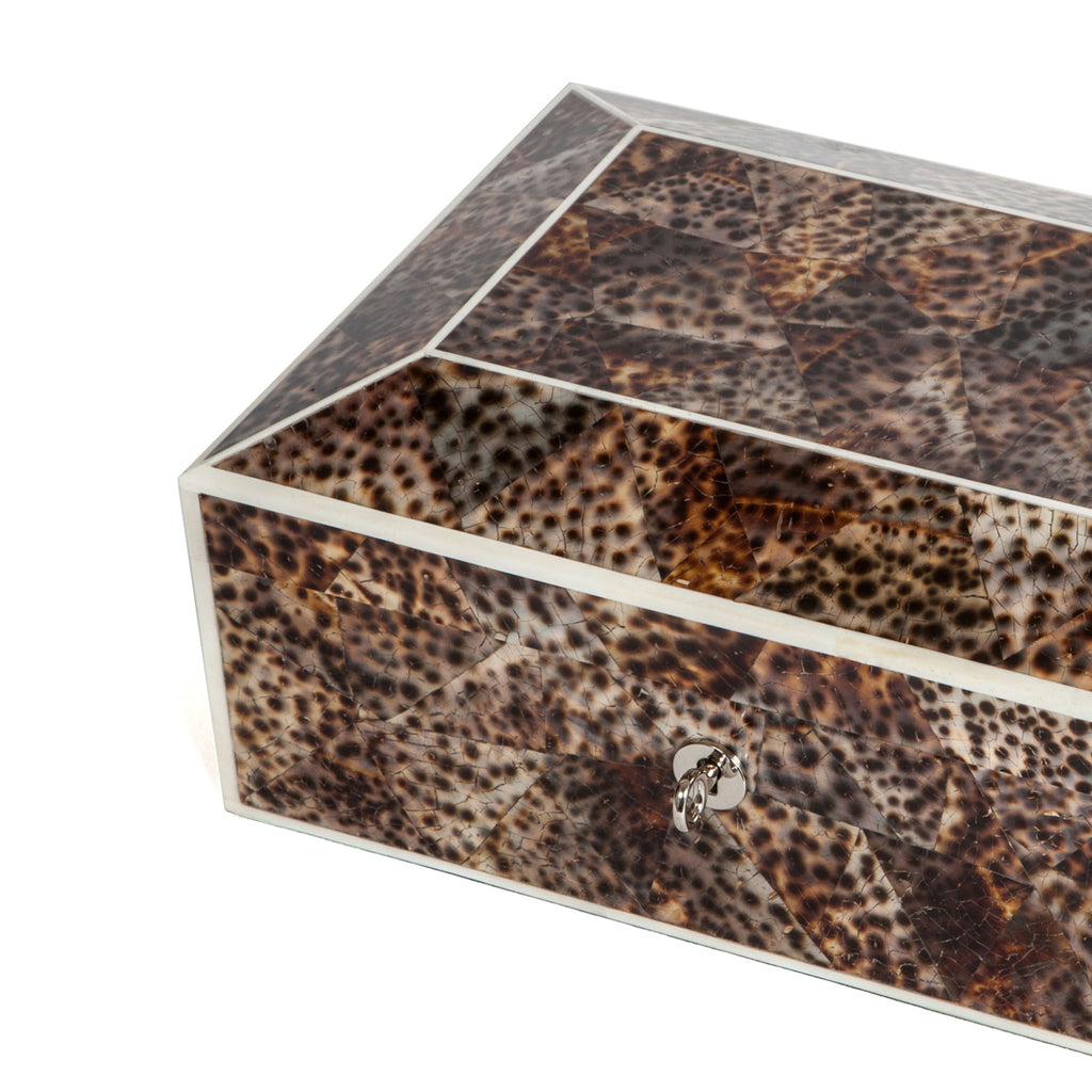 Tiger Cowrie Shell Jewellery Box