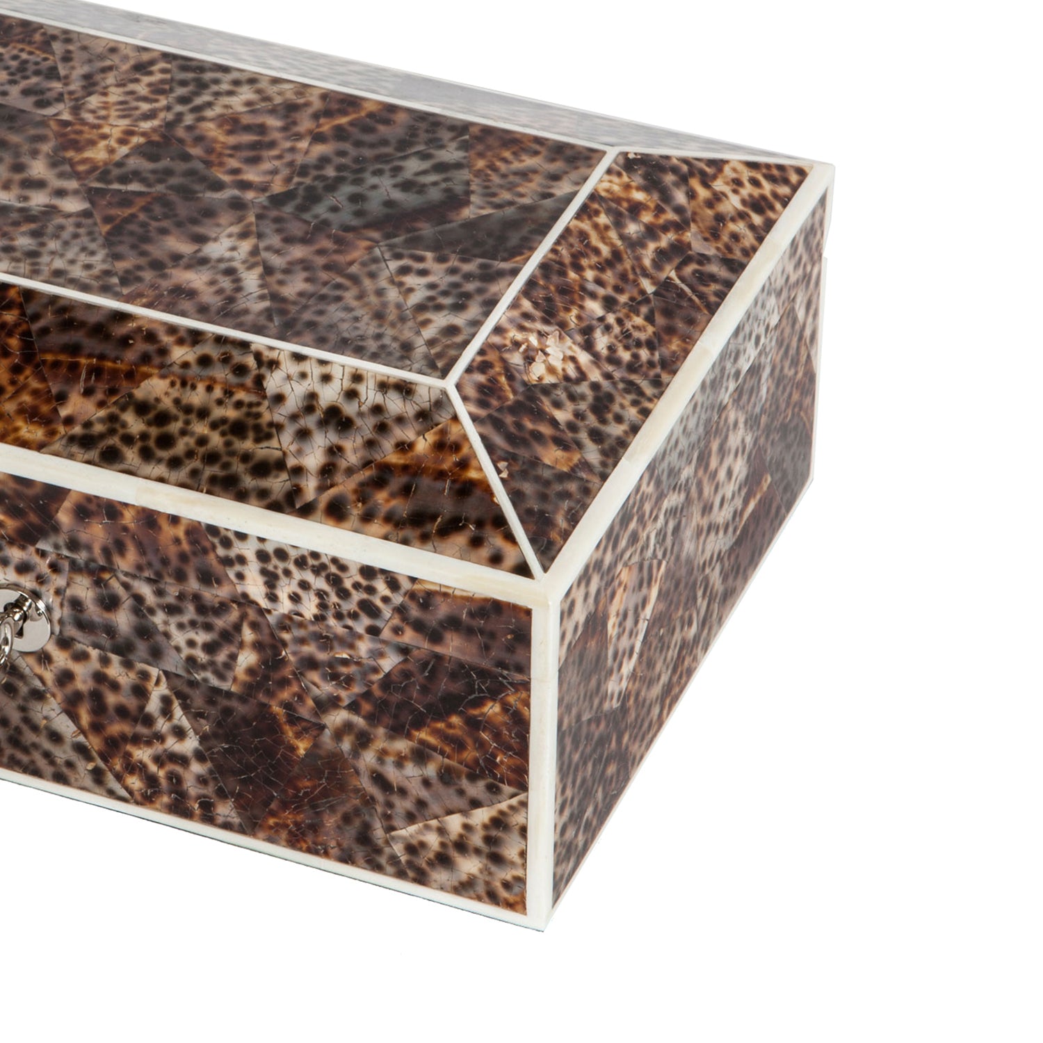 Tiger Cowrie Shell Jewellery Box