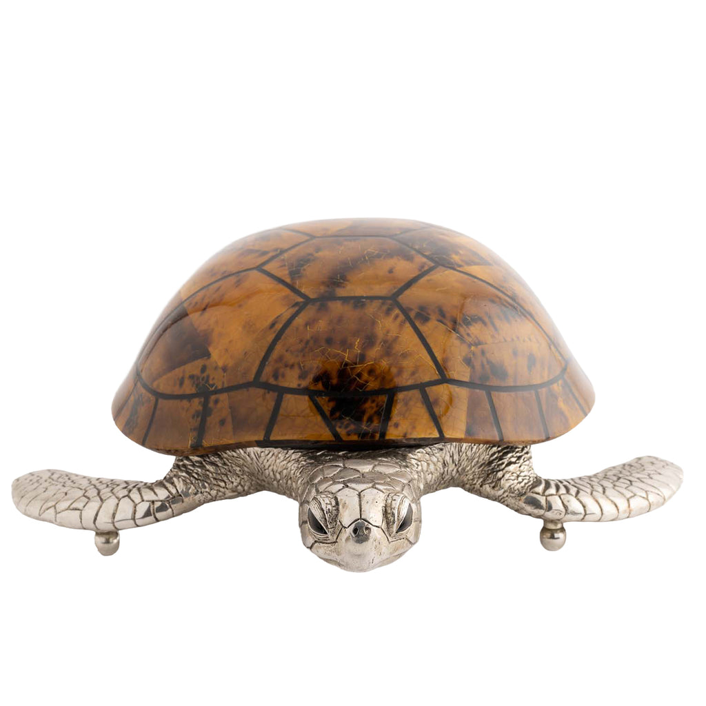 Turtle Object / Box