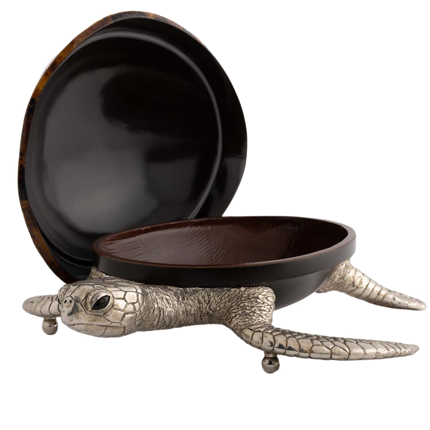 Turtle Object / Box