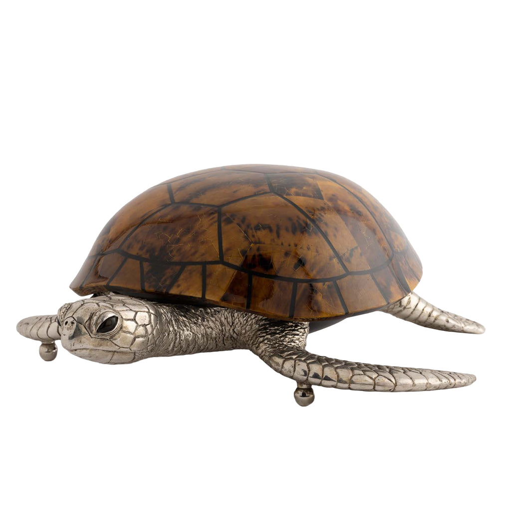 Turtle Object / Box
