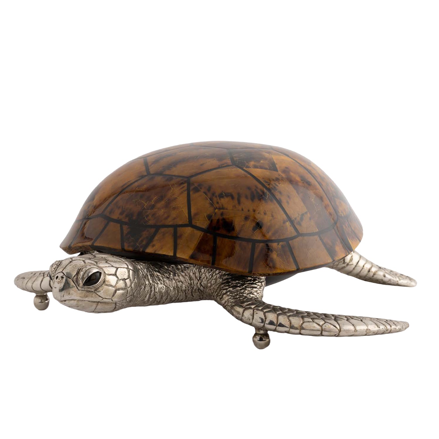 Turtle Object / Box