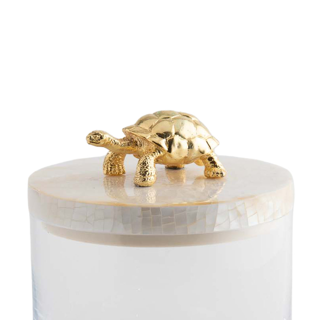 Turtle Storage Jar