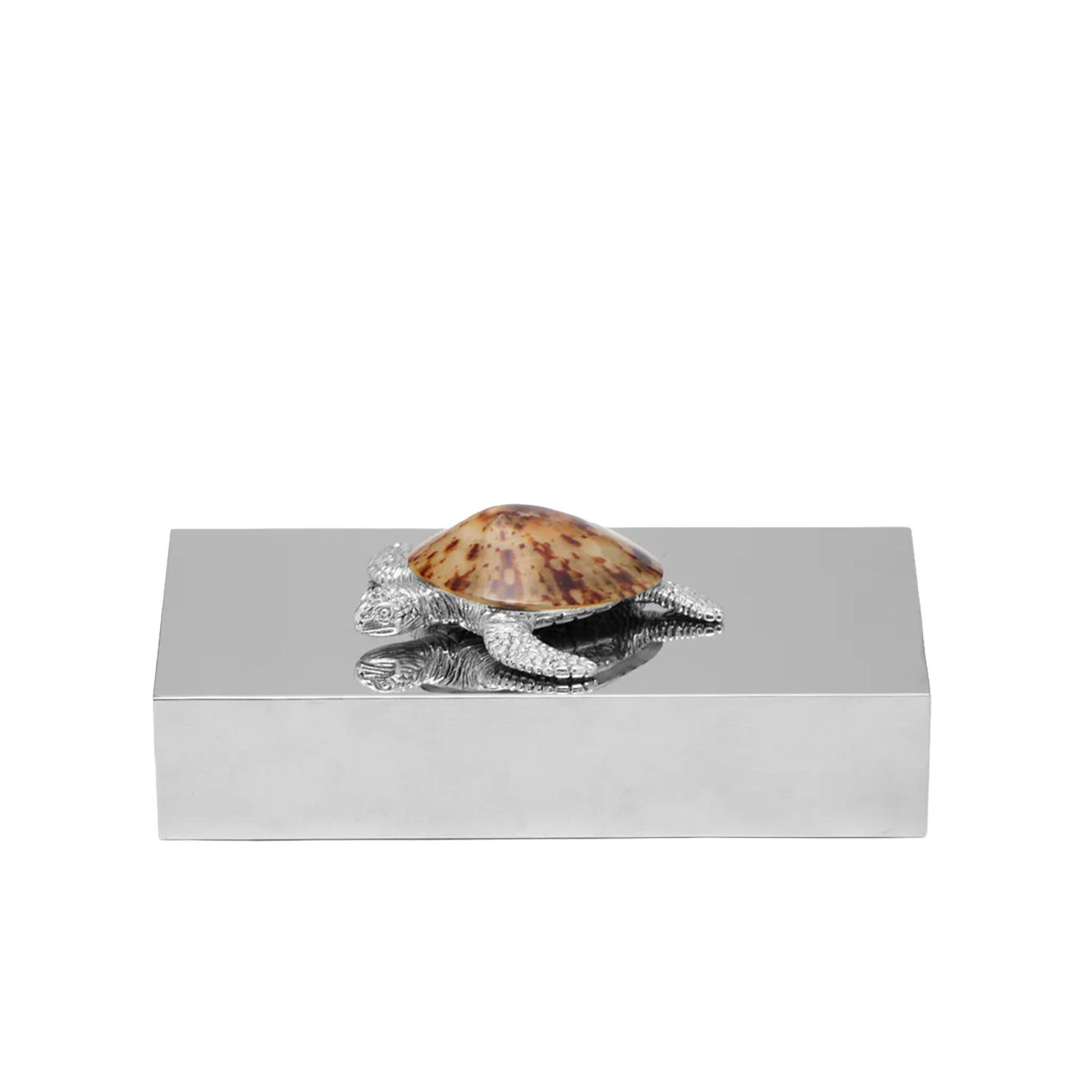 Turtle Matchstick Box