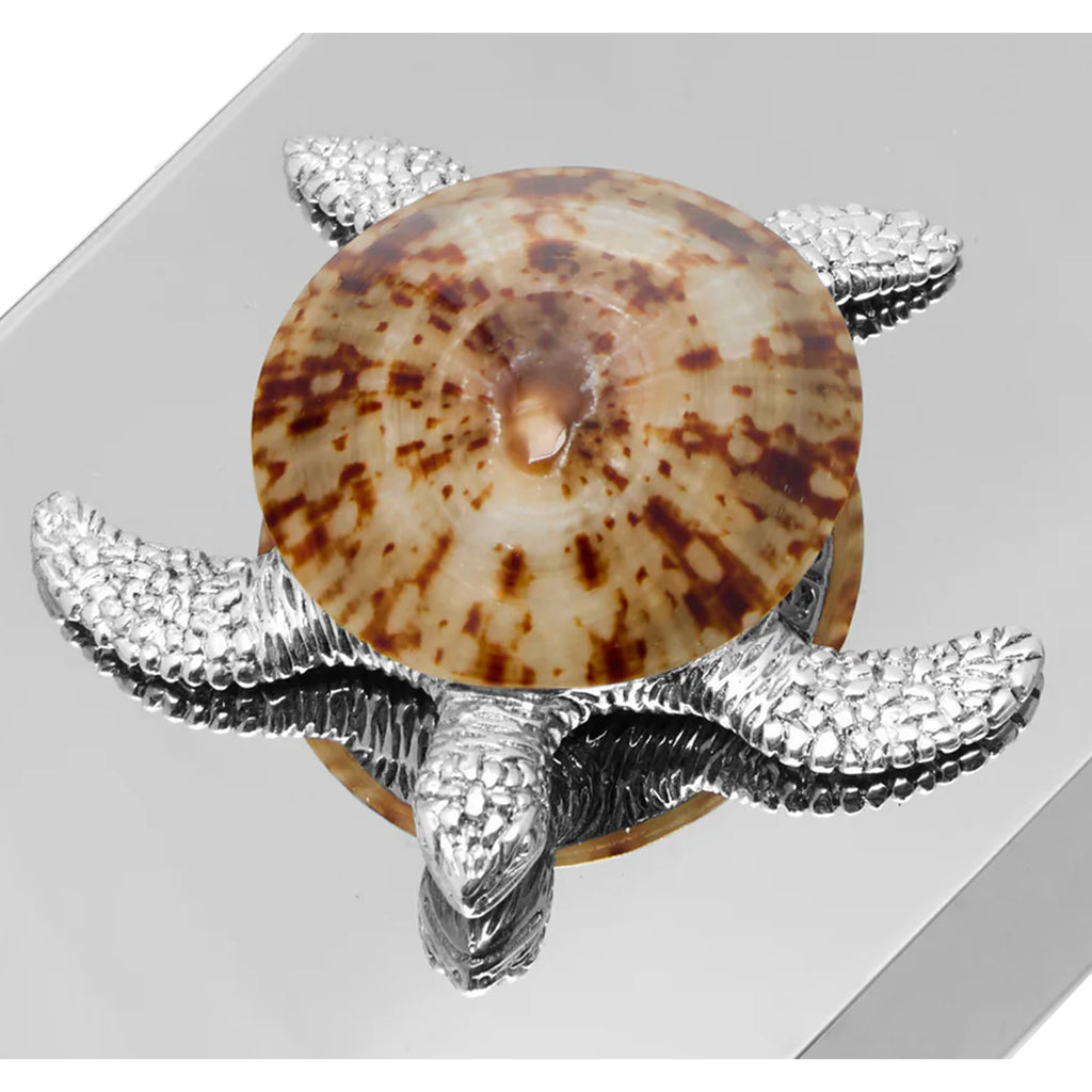 Turtle Matchstick Box