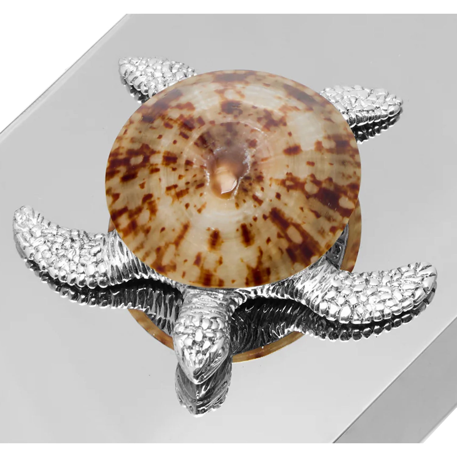 Turtle Matchstick Box