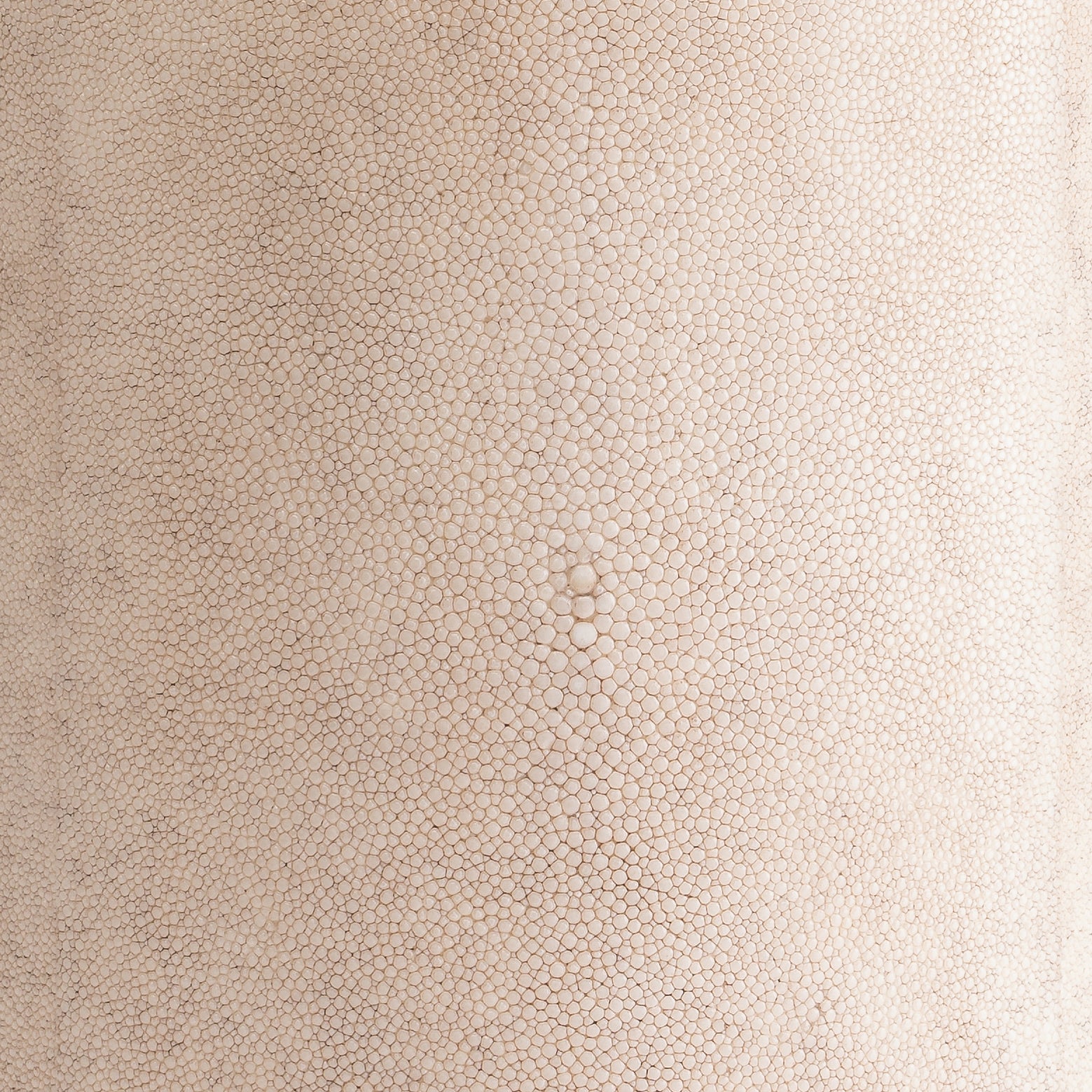 Belmont Round Shagreen Bin