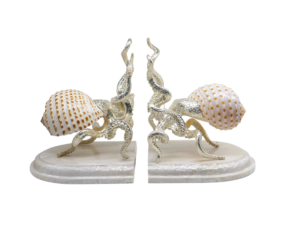 Octopus Tonna Tessellata Bookend