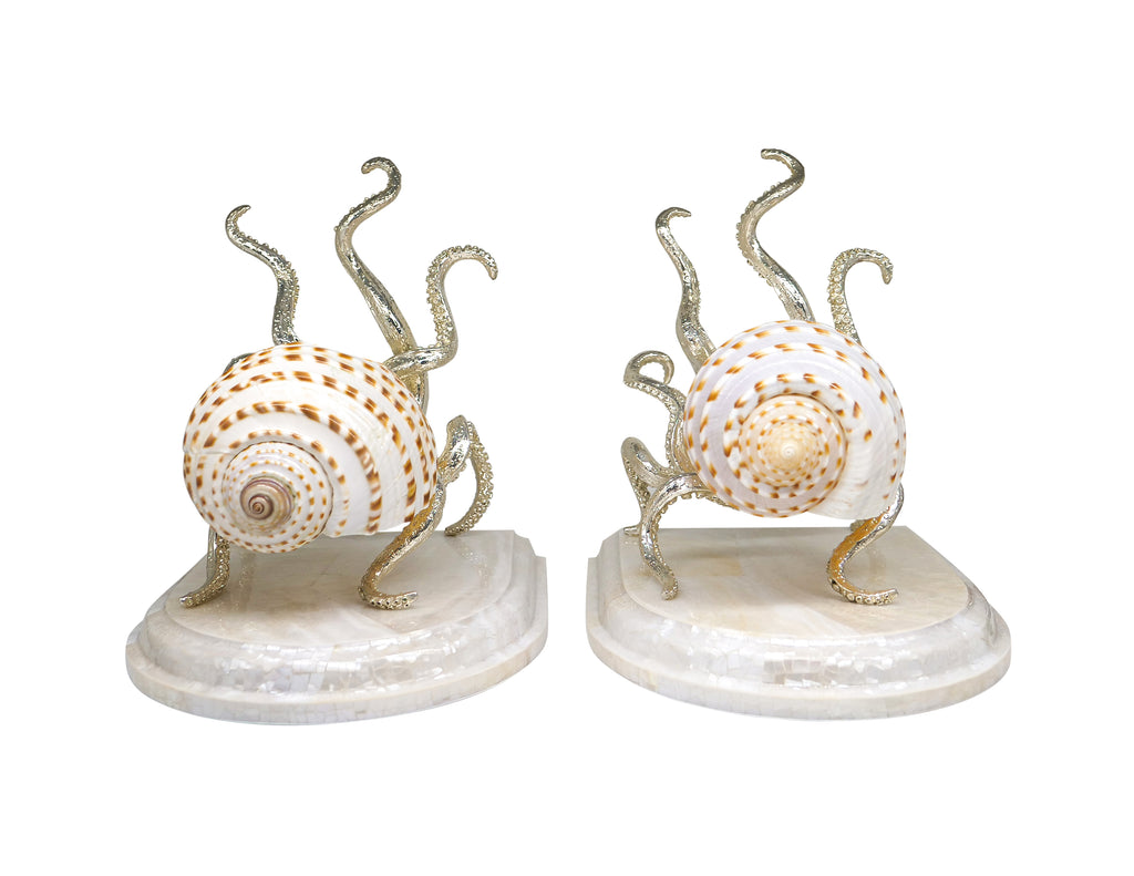 Octopus Tonna Tessellata Bookend