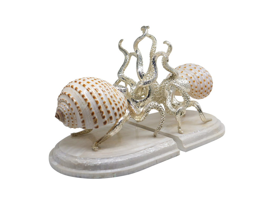 Octopus Tonna Tessellata Bookend