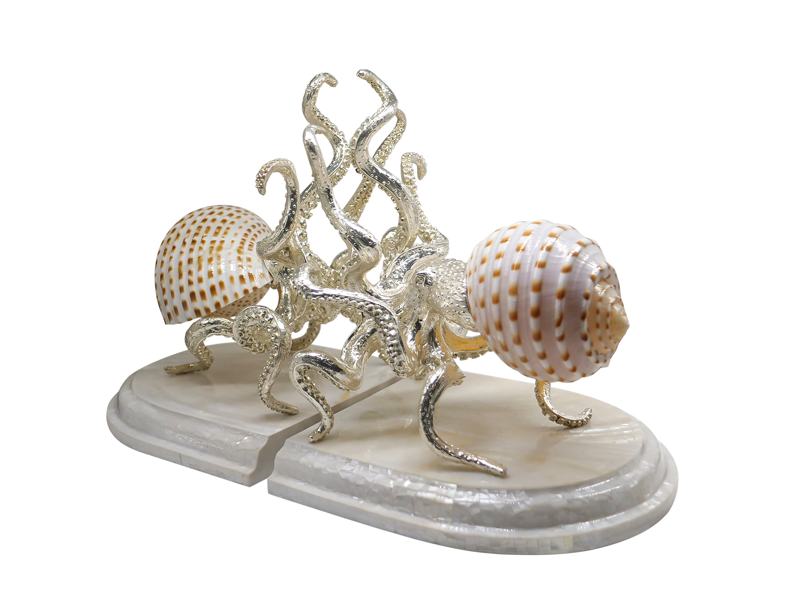 Octopus Tonna Tessellata Bookend