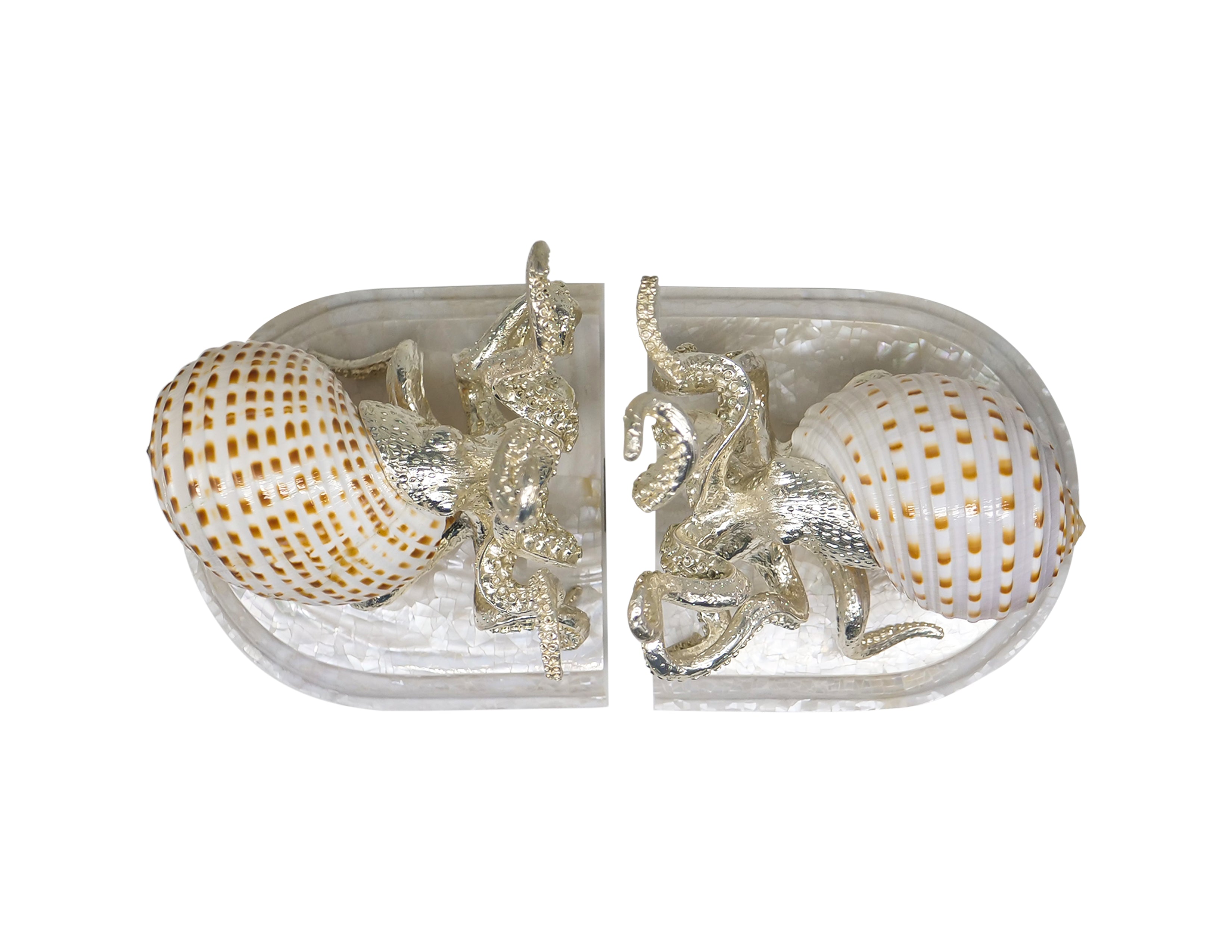 Octopus Tonna Tessellata Bookend
