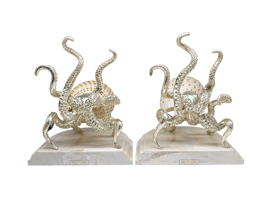 Octopus Tonna Tessellata Bookend